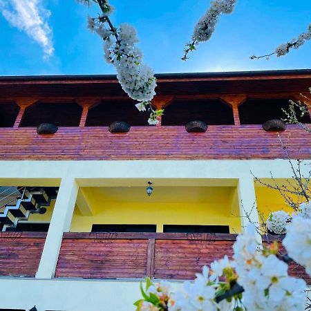 Casa Camelia Hotell Dubova Eksteriør bilde